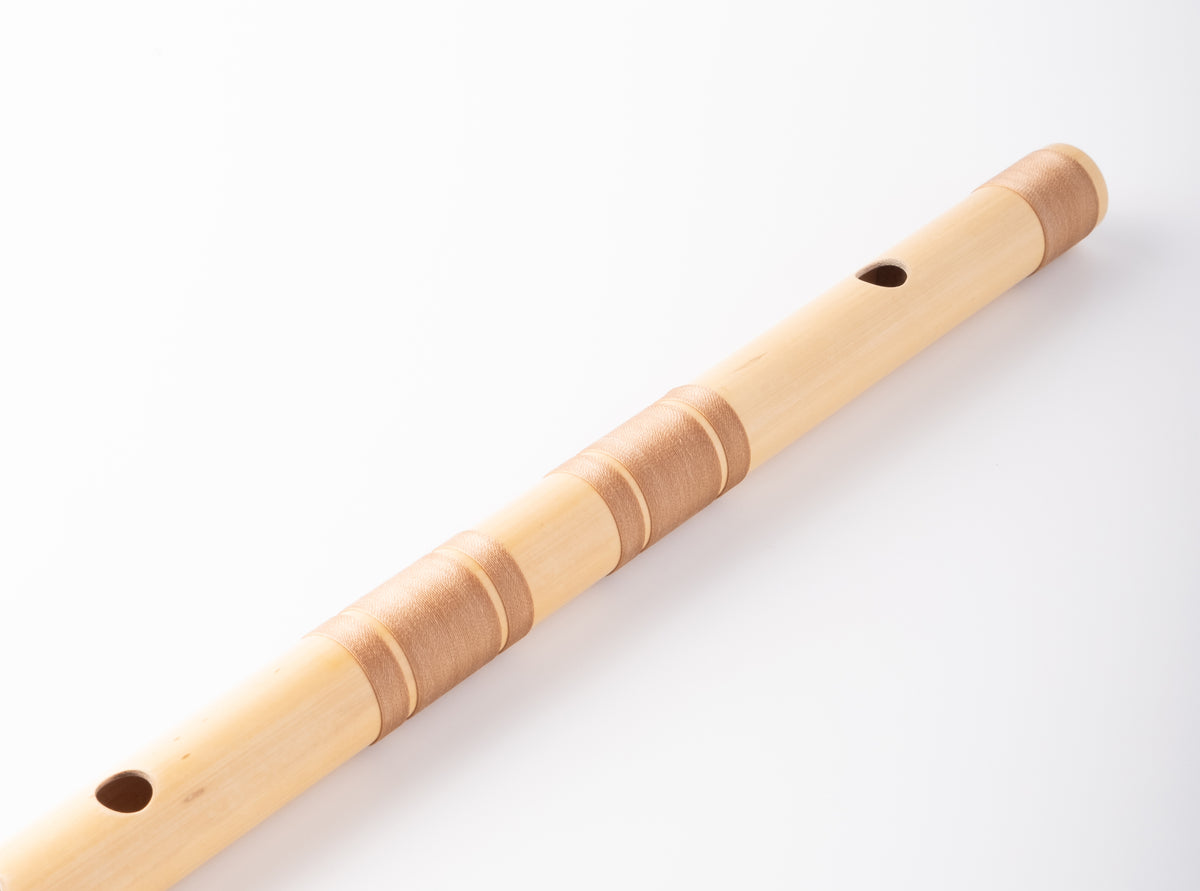 Beginner to Bass Combo Set - E scale and G scale